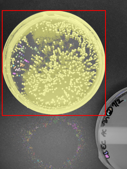 Dish detection and isolation