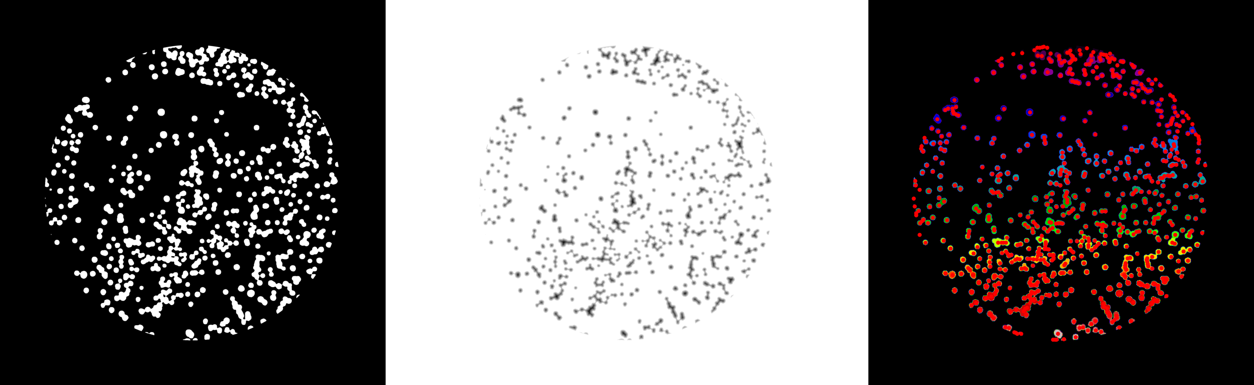 Colony analysis output